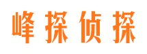 黄梅商务调查